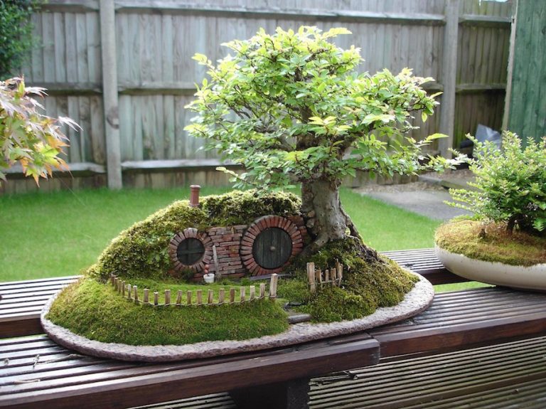 Hobit bonsai drvce