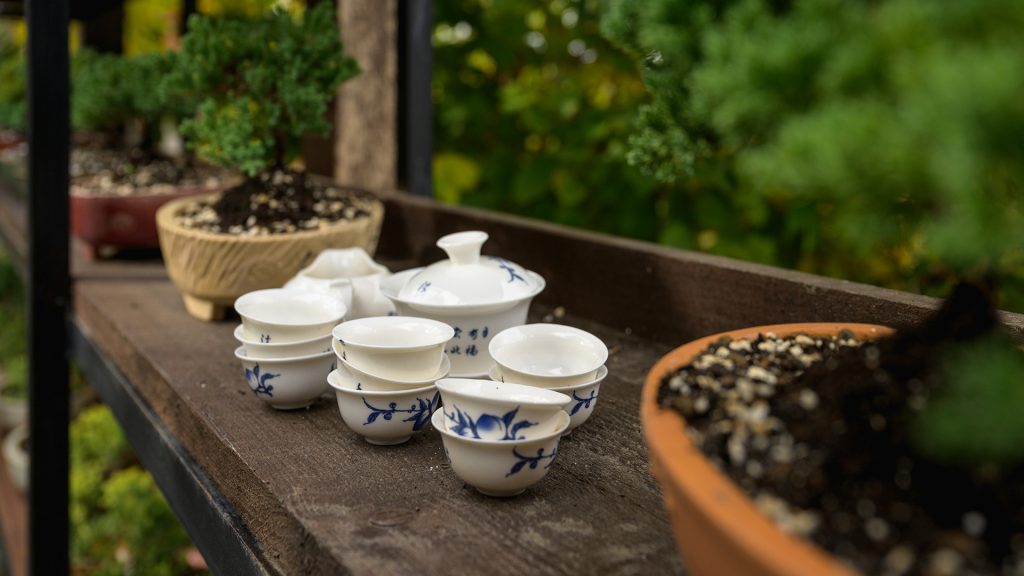 Japanski čajni set u bonsai vrtu
